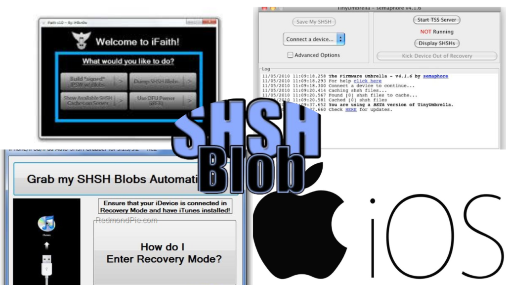 How to save SHSH blobs